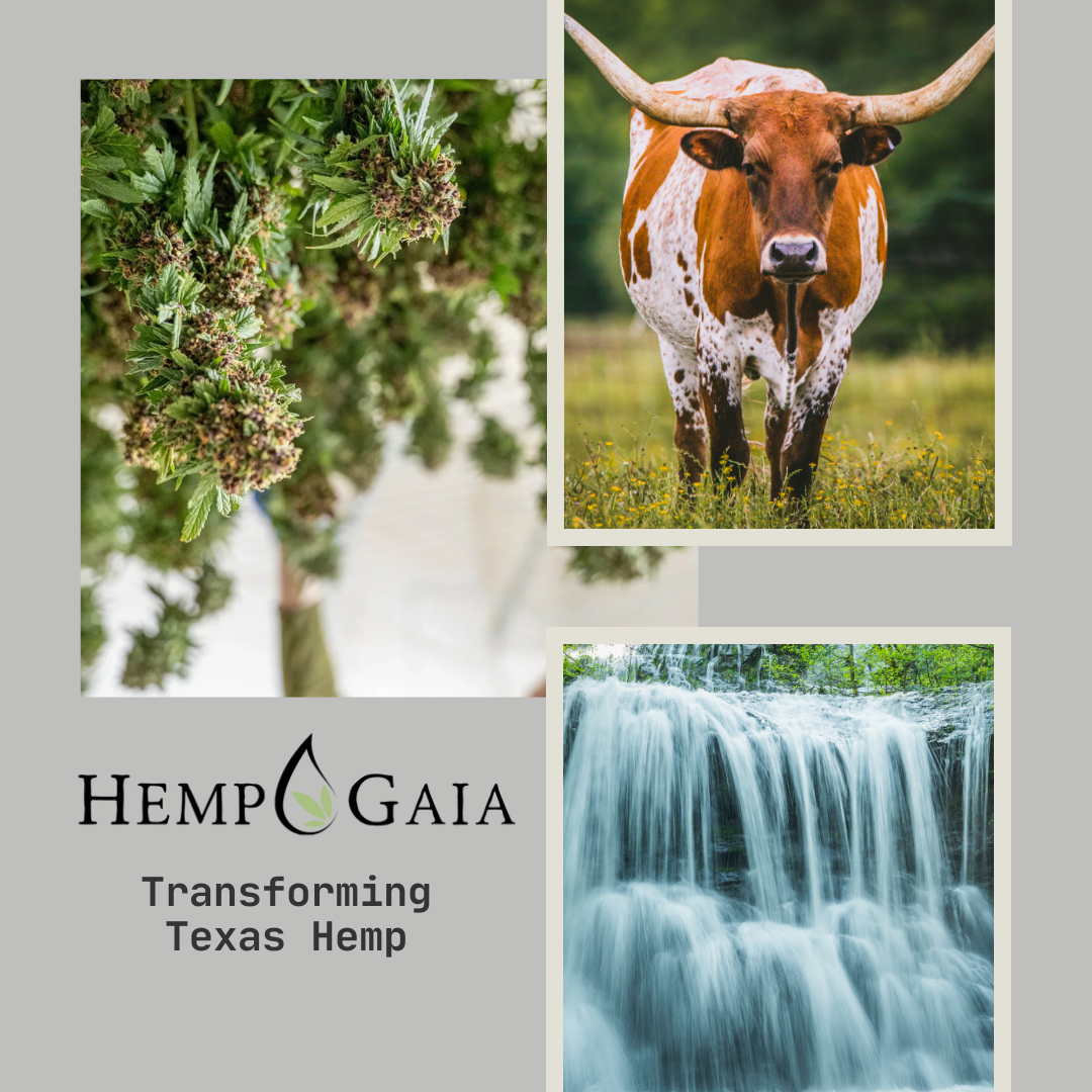 Transforming the Texas Hemp Industry: Innovation, Transparency, and Growth