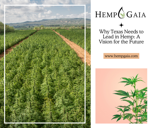 Why Texas Needs to Lead in Hemp: A Vision for the Future